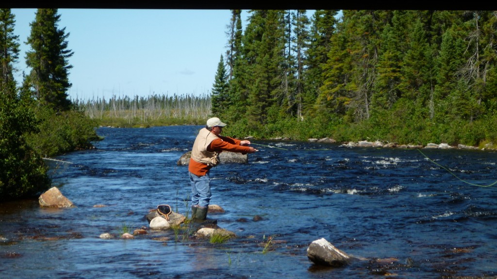 Moose hunting packages — Pourvoirie Aventures Nipissi 2020 – Pourvoirie Aventures Nipissi 2020